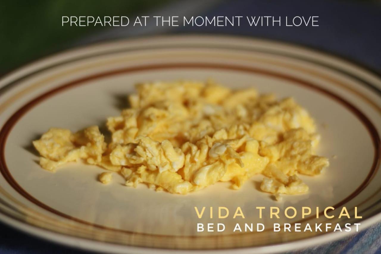 Vida Tropical Bed & Breakfast Alajuela Dış mekan fotoğraf