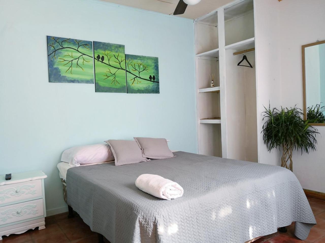 Vida Tropical Bed & Breakfast Alajuela Dış mekan fotoğraf
